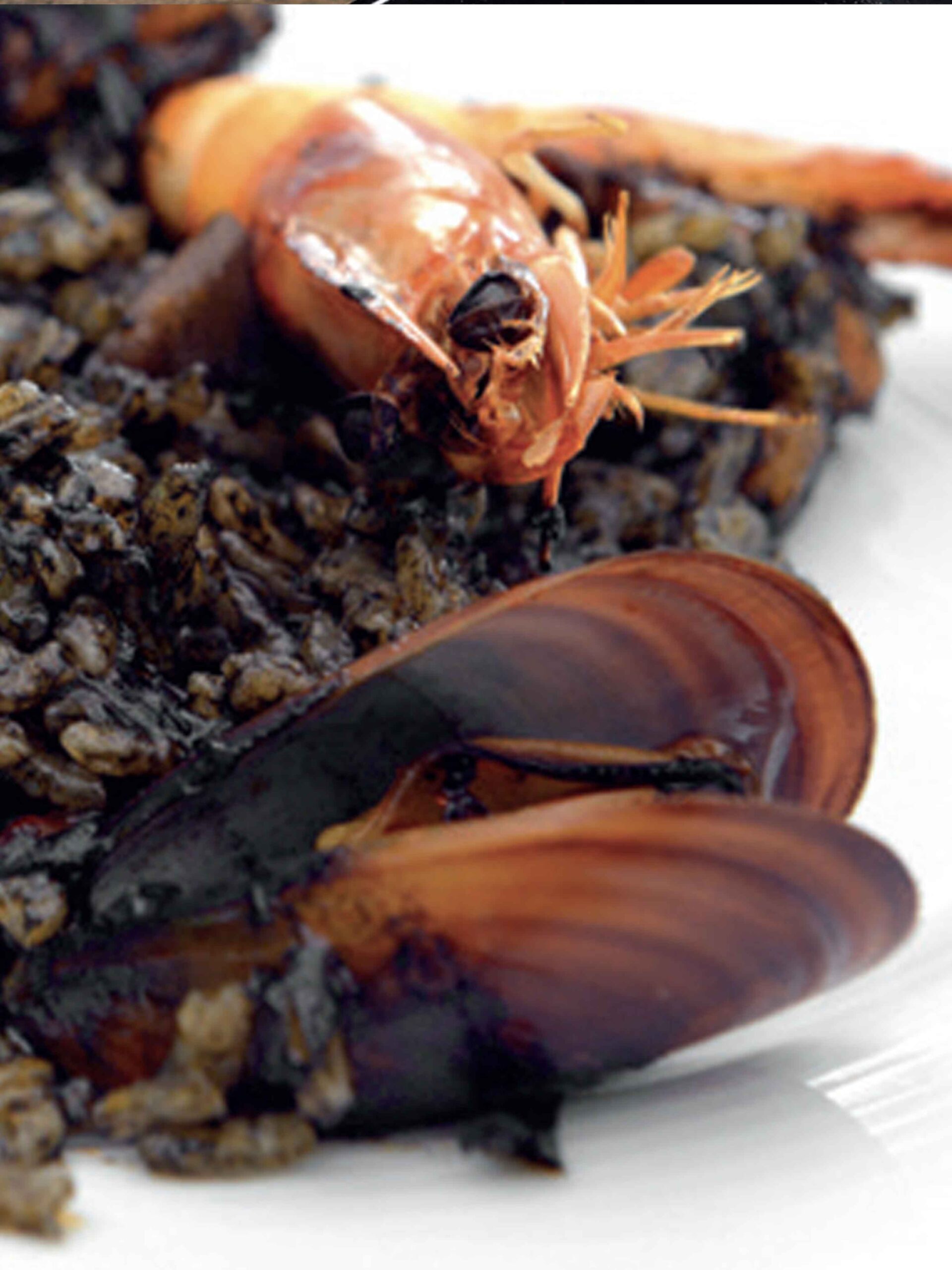 AkademiaGrillowania_srodziemnomorskie-smaki_06