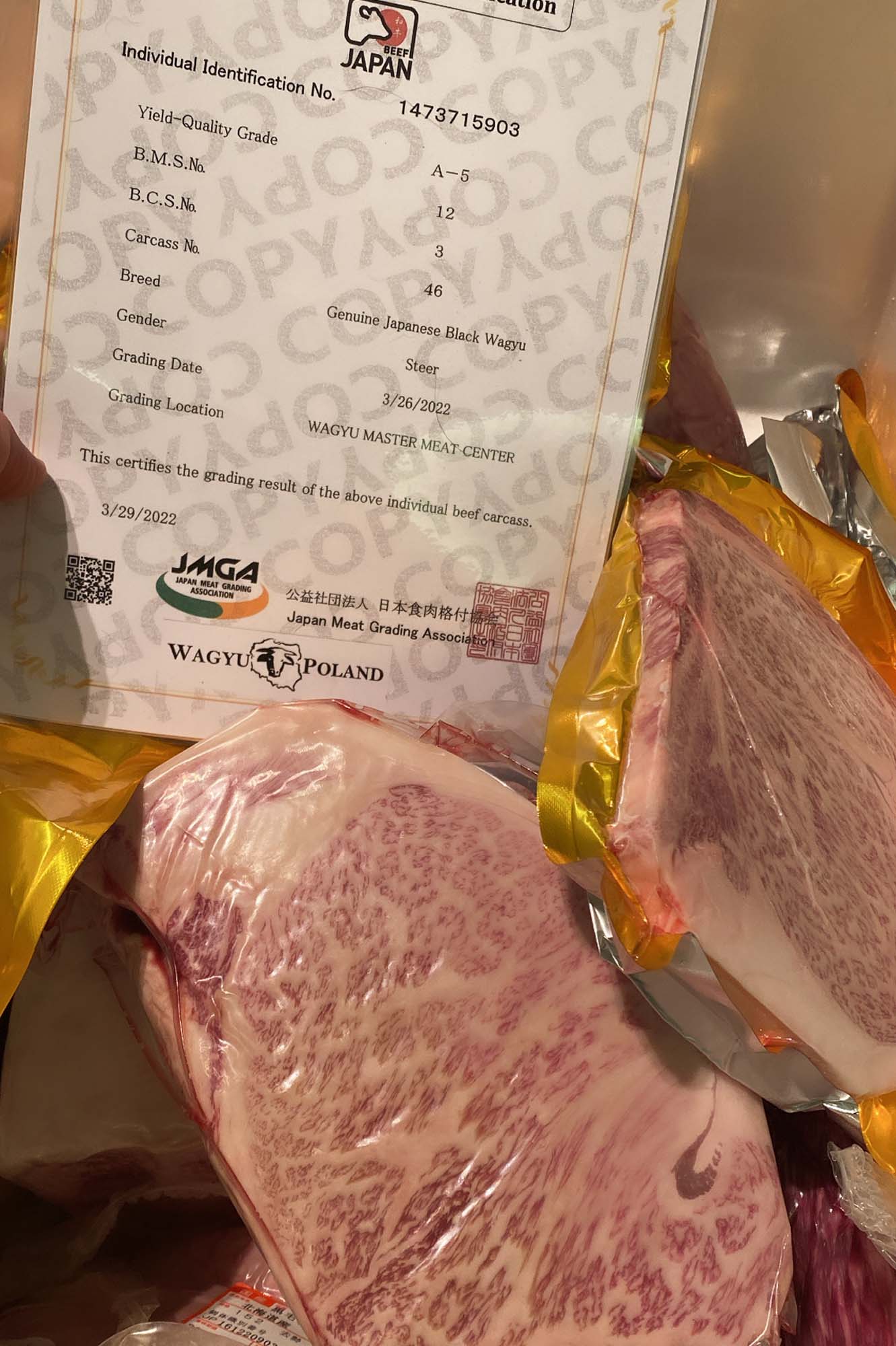 AndrzejAndrzejczak_warsztaty_wagyu_1